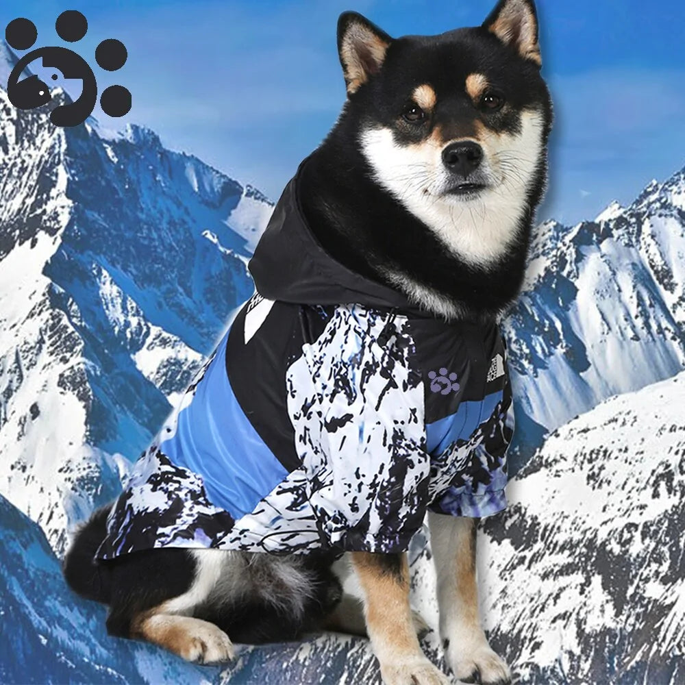 The Dog Face Jacke in 6 verschiedenen Farben